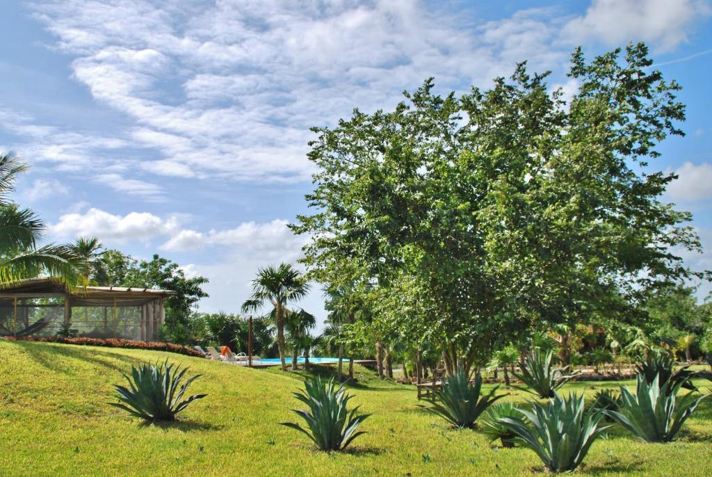 Hotel El Chital Raudales Екстер'єр фото
